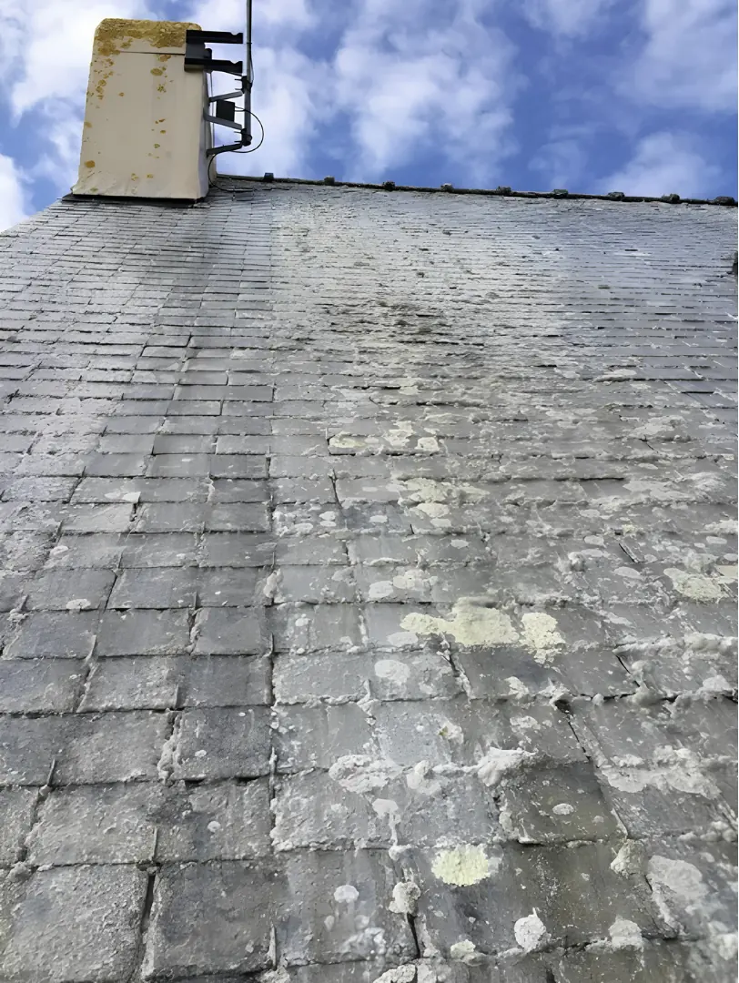 Nettoyage et démoussage à Morlaàs : avant travaux